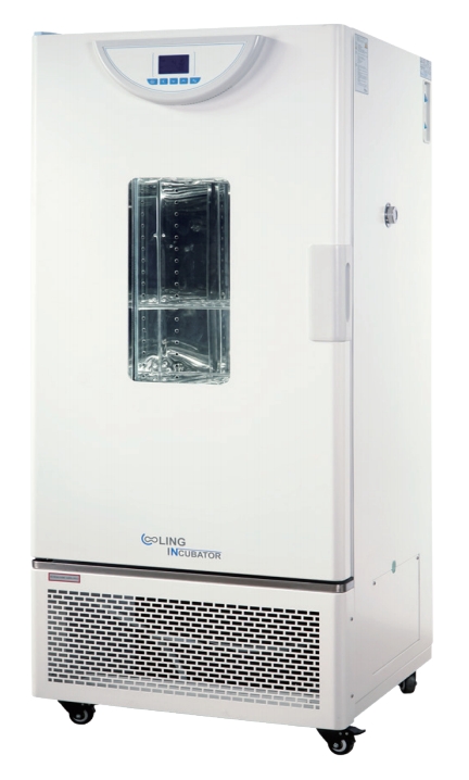 Cooling Incubator