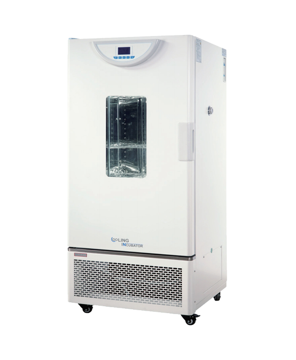 Cooling Incubator