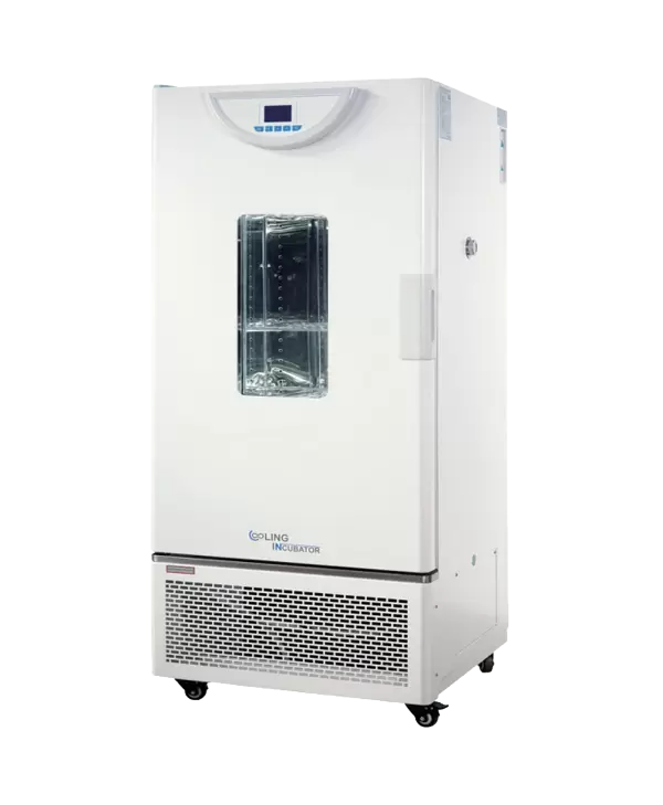 Cooling Incubator